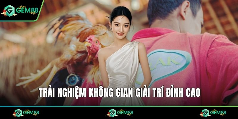Trải nghiệm không gian giải trí đỉnh cao